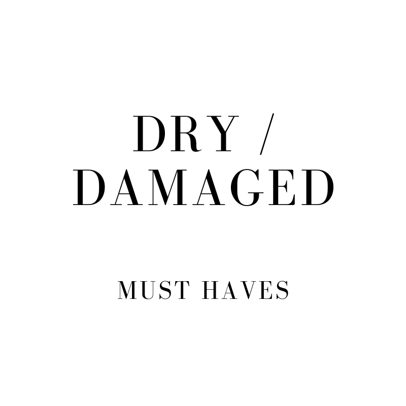 Dry / Damaged Hair - House Of Hair